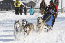 Lenk 2012 SM